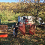 Selidba van Beograda Selidba van Beograda